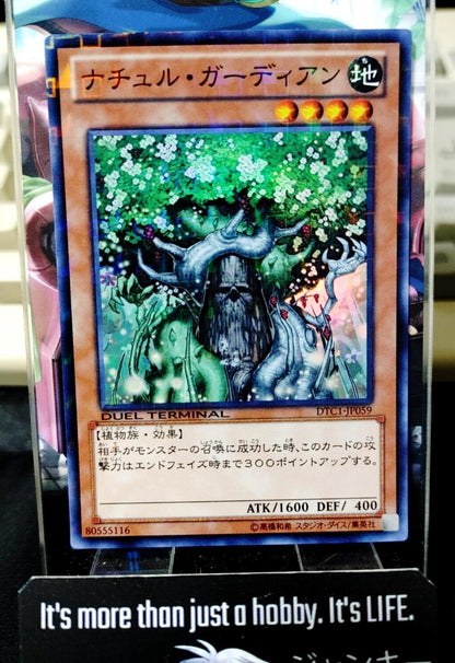 Naturia Guardian DTC1-JP059 Super Rare Yugioh OCG JAPAN