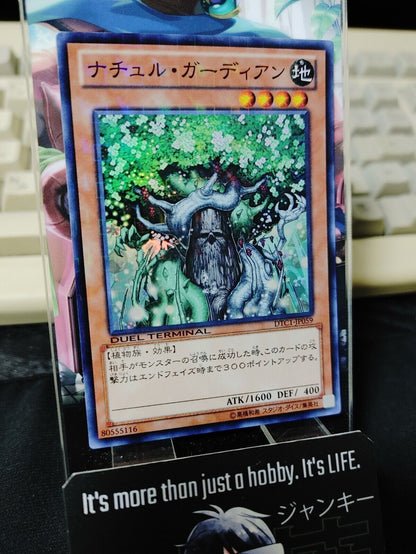 Naturia Guardian DTC1-JP059 Super Rare Yugioh OCG JAPAN