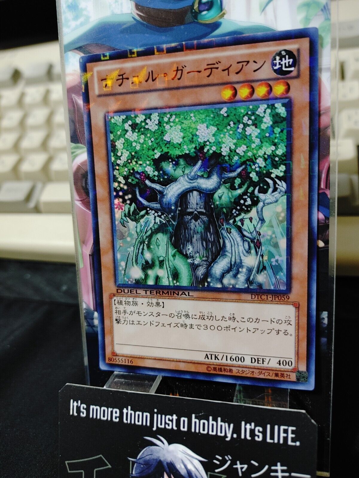 Naturia Guardian DTC1-JP059 Super Rare Yugioh OCG JAPAN