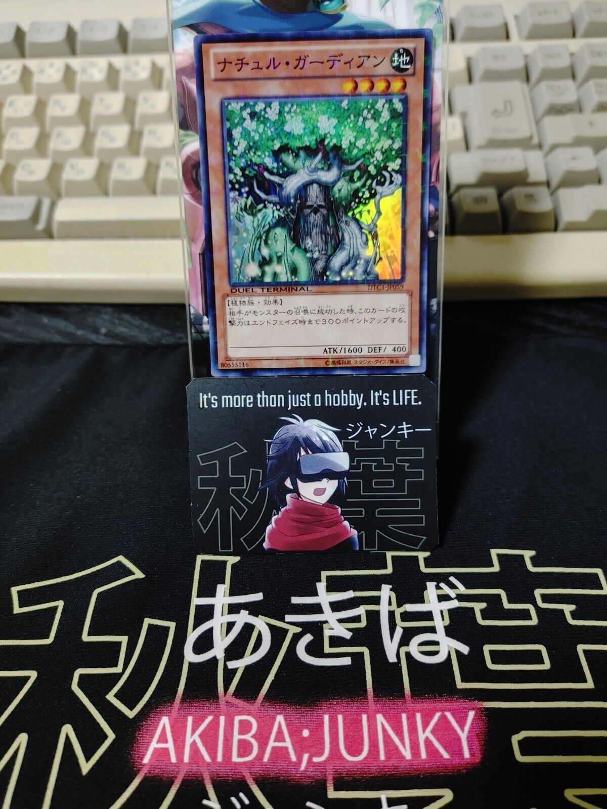 Naturia Guardian DTC1-JP059 Super Rare Yugioh OCG JAPAN