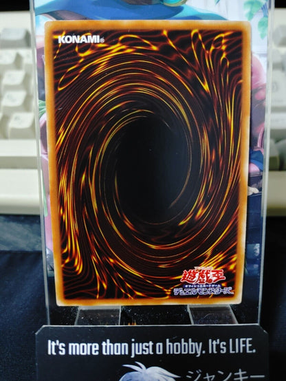 Naturia Guardian DTC1-JP059 Super Rare Yugioh OCG JAPAN