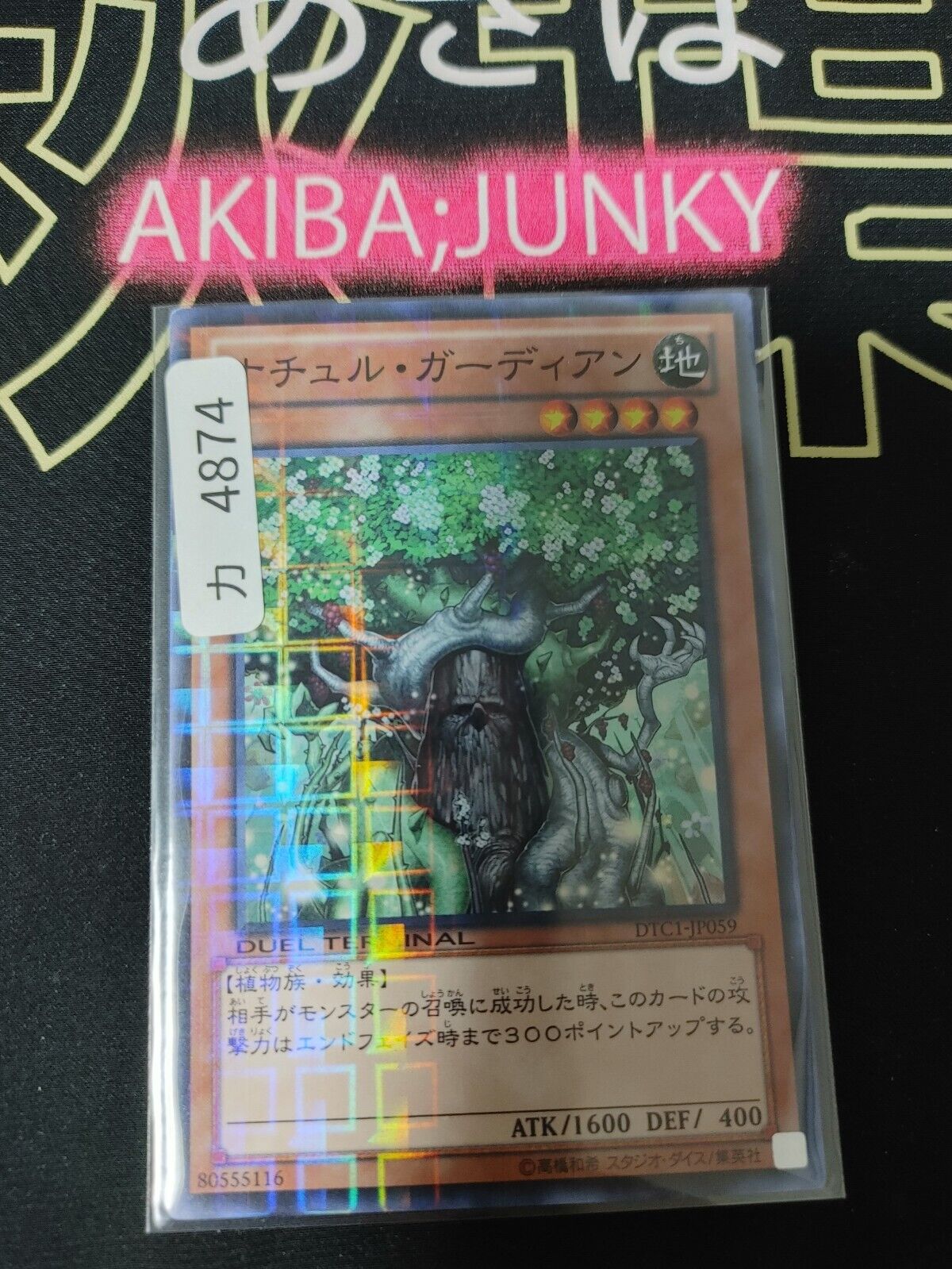 Naturia Guardian DTC1-JP059 Super Rare Yugioh OCG JAPAN