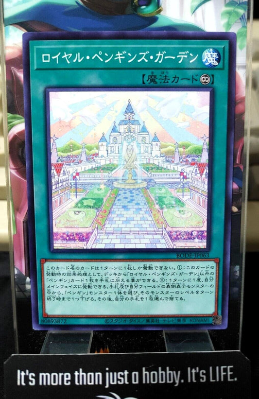 Royal Penguins Garden BODE-JP063 Yugioh OCG Yu-Gi-Oh JAPAN