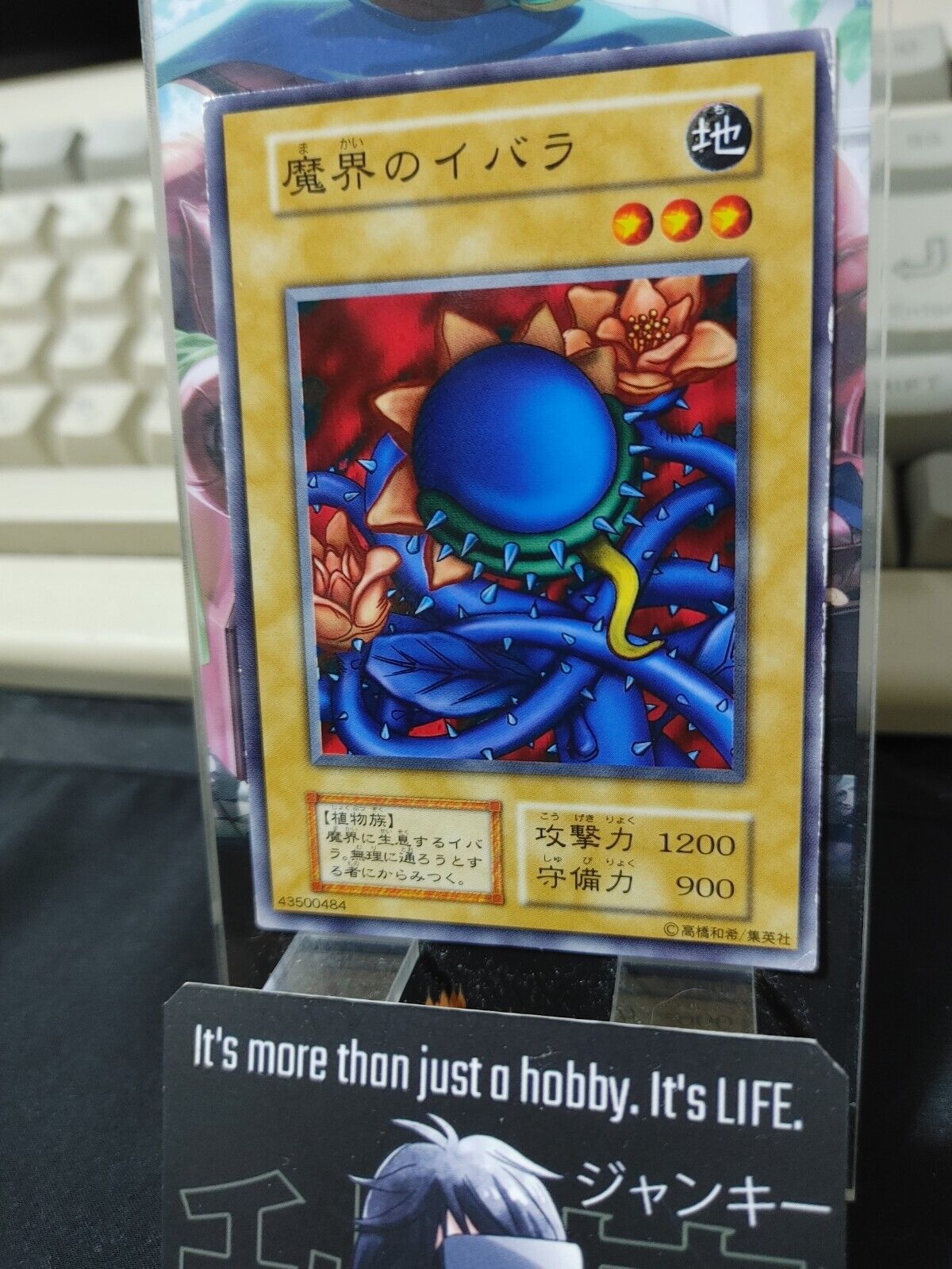 Darkworld Thorns Yugioh OCG Yu-Gi-Oh Vintage Retro JAPAN