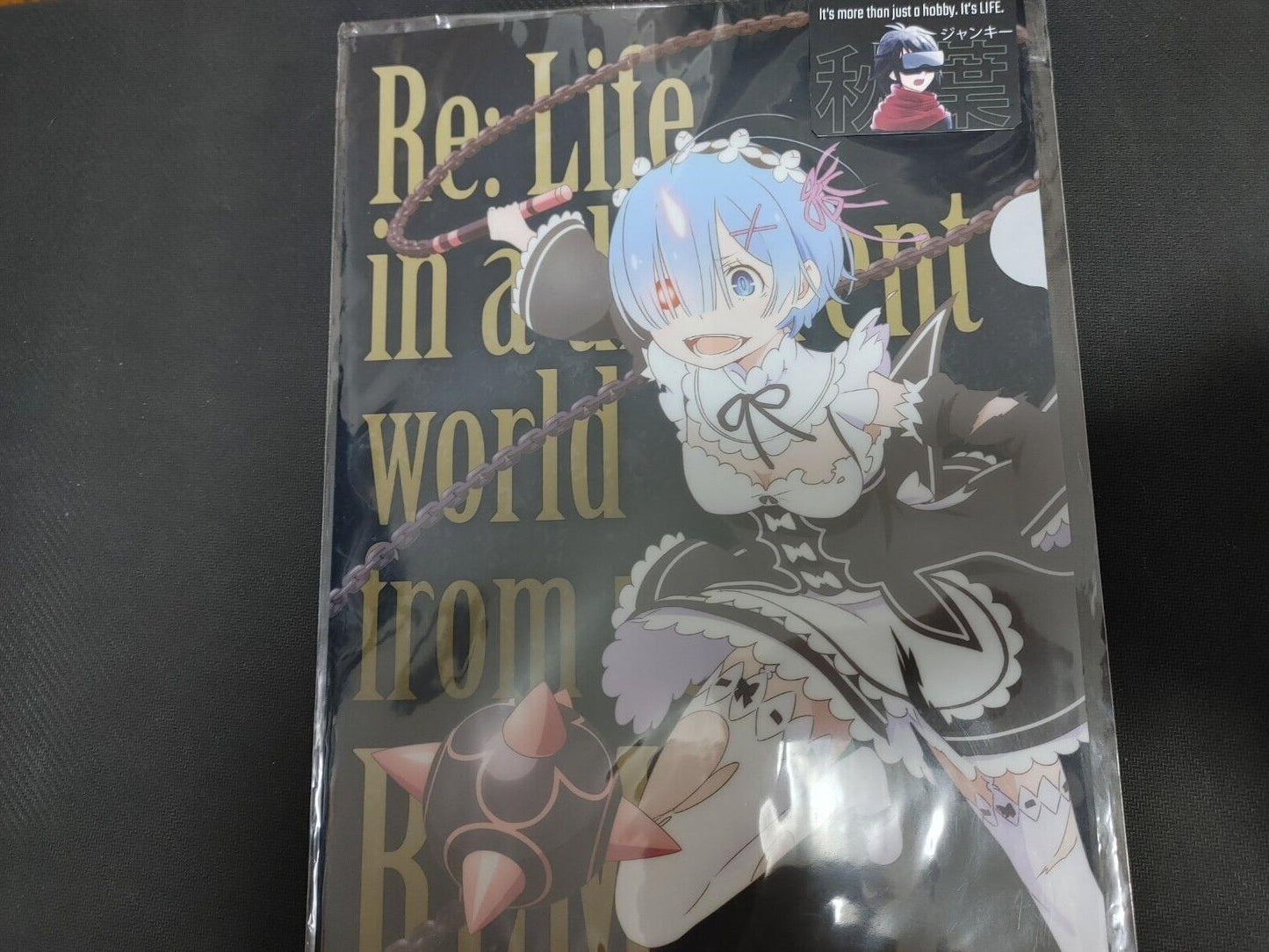 Re:Zero Rem Anime Collectible Design Clear File Design A JAPAN