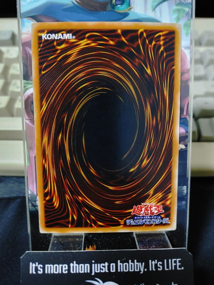 Larvas Yugioh OCG Yu-Gi-Oh Vintage Retro JAPAN