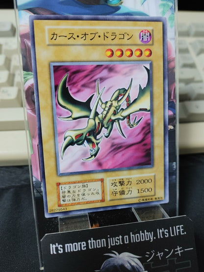 Curse of Dragon Yugioh OCG Yu-Gi-Oh Vintage Retro JAPAN