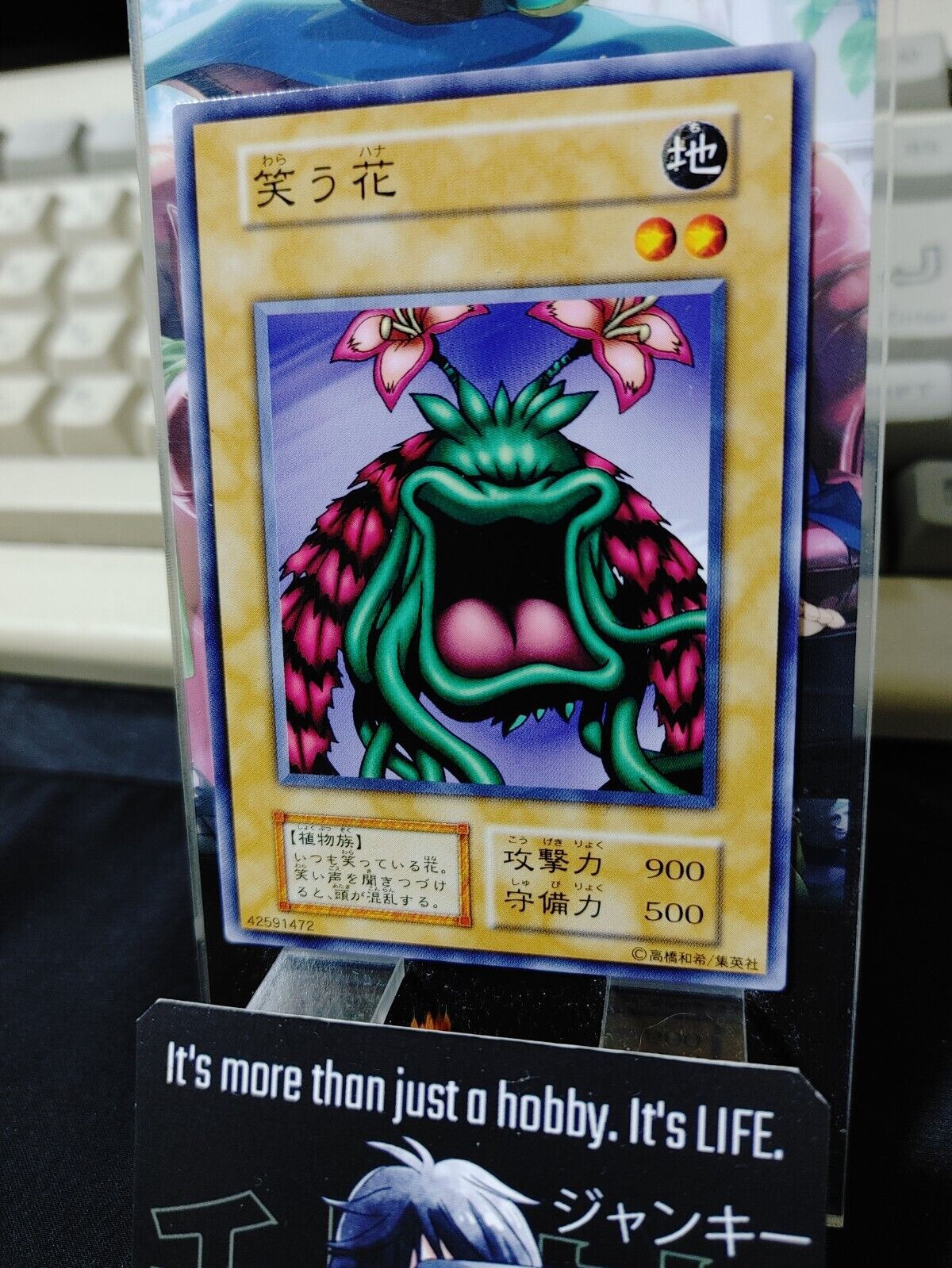 Laughing Flower Yugioh OCG Yu-Gi-Oh Vintage Retro JAPAN