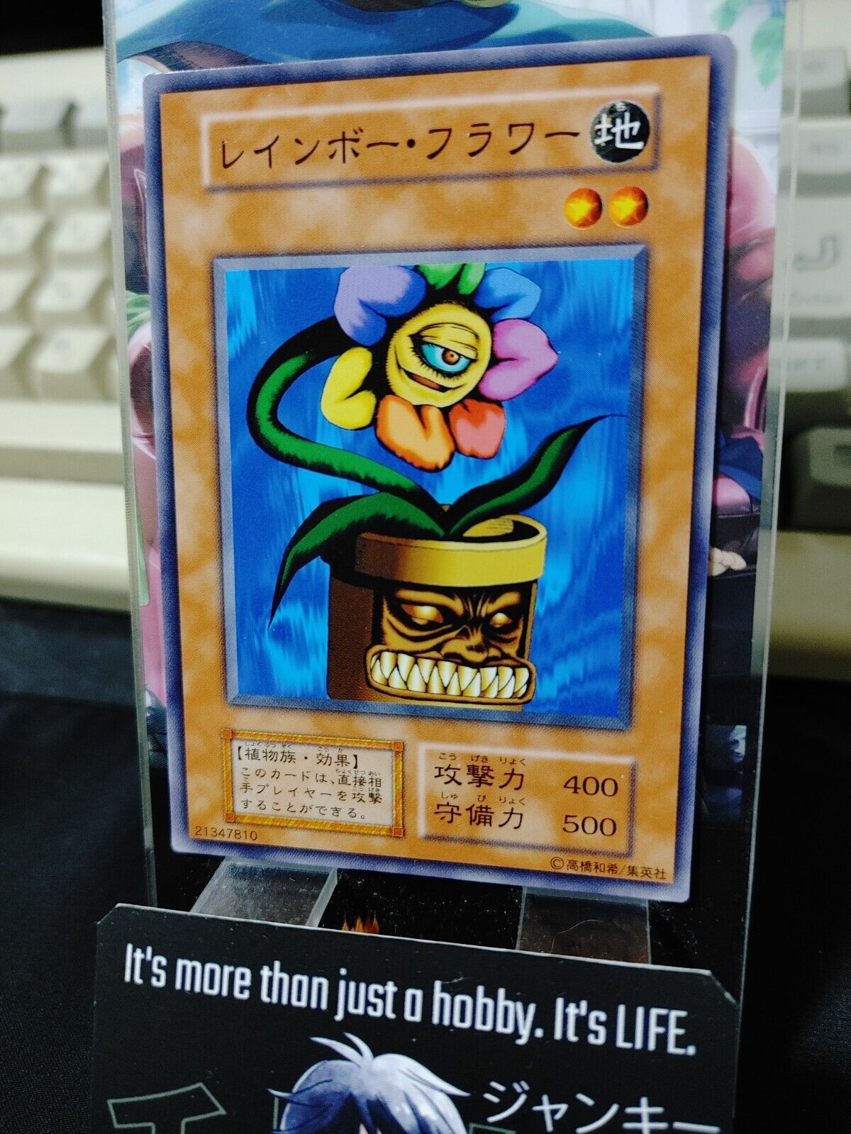 Rainbow Flower Yugioh OCG Yu-Gi-Oh Vintage Retro JAPAN