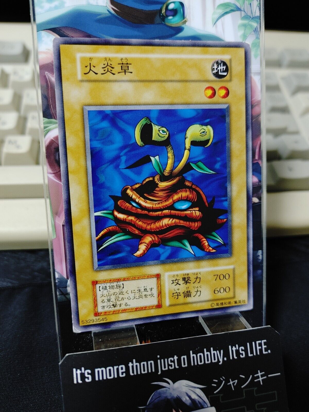 Firegrass Yugioh OCG Yu-Gi-Oh Vintage Retro JAPAN