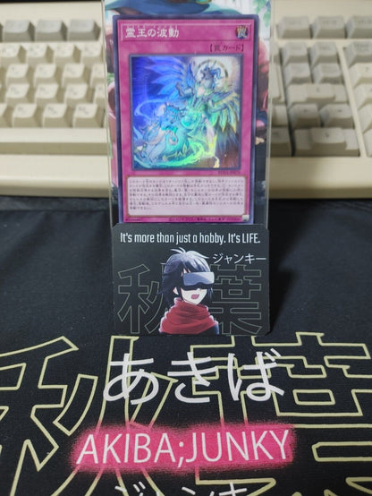 Dominus Impulse ROTA-JP079 Super Rare Yugioh OCG JAPAN