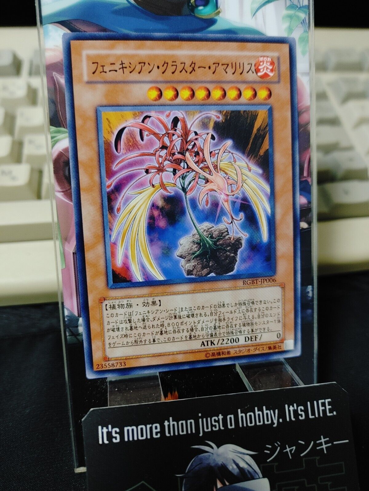 Phoenixian Cluster Amaryllis RGBT-JP006 Yugioh OCG JAPAN