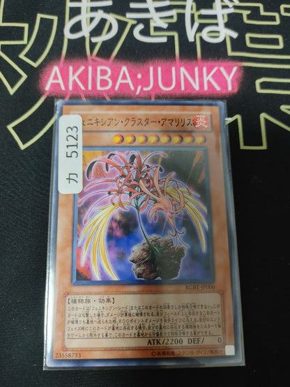 Phoenixian Cluster Amaryllis RGBT-JP006 Yugioh OCG JAPAN