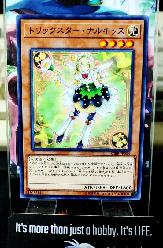 Trickstar Narkissus CIBR-JP004 Yugioh OCG JAPAN