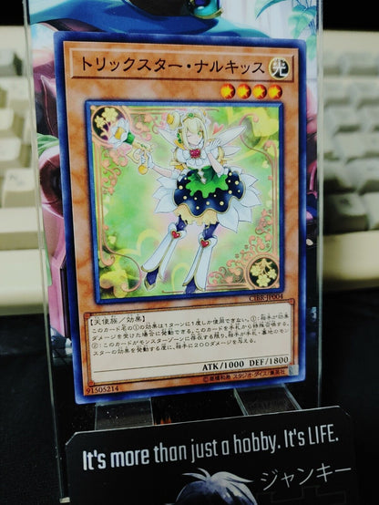 Trickstar Narkissus CIBR-JP004 Yugioh OCG JAPAN