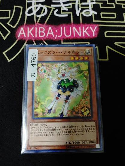 Trickstar Narkissus CIBR-JP004 Yugioh OCG JAPAN