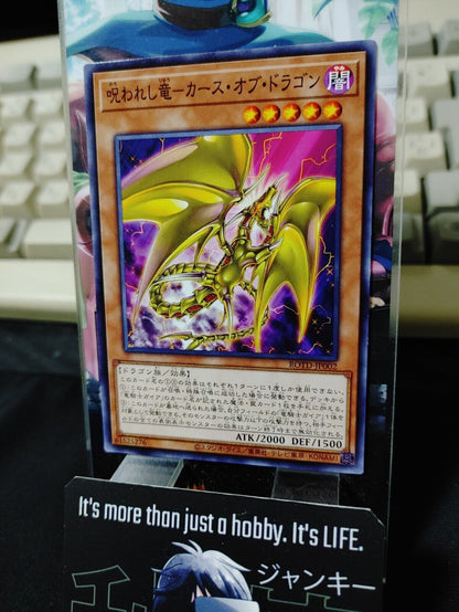 Cursed Dragon - Curse of Dragon ROTD-JP002 Yugioh OCG JAPAN