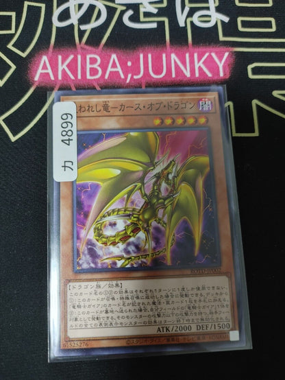 Cursed Dragon - Curse of Dragon ROTD-JP002 Yugioh OCG JAPAN