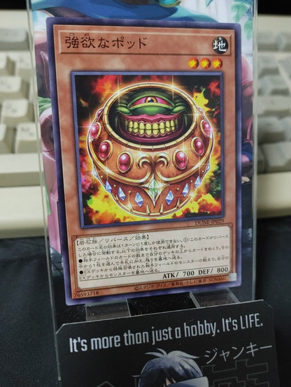 Pod of Greed DUNE-JP029 Yugioh OCG Yu-Gi-Oh JAPAN