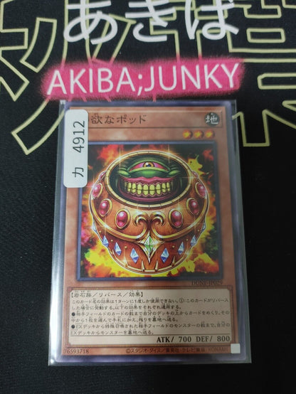 Pod of Greed DUNE-JP029 Yugioh OCG Yu-Gi-Oh JAPAN