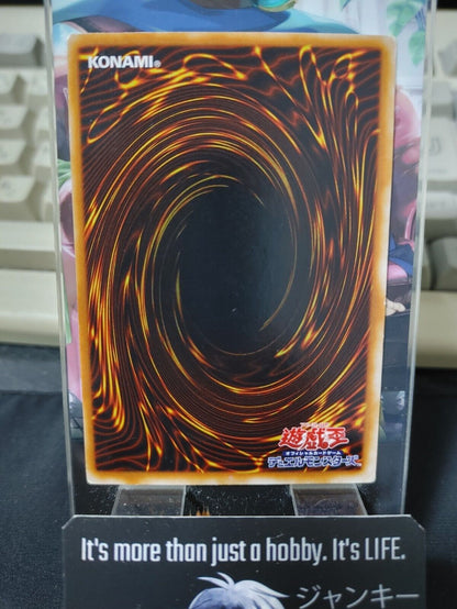 Supporter in the Shadows Yugioh OCG Yu-Gi-Oh JAPAN