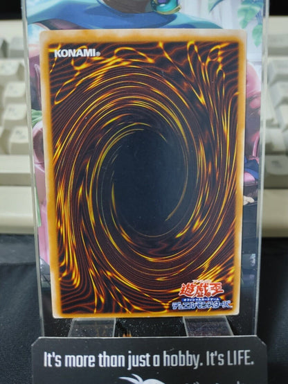 Gokibore Yugioh OCG Yu-Gi-Oh JAPAN