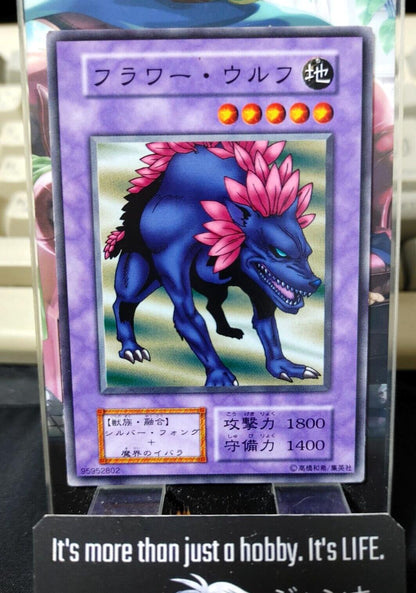 Flower Wolf Yugioh OCG Yu-Gi-Oh JAPAN