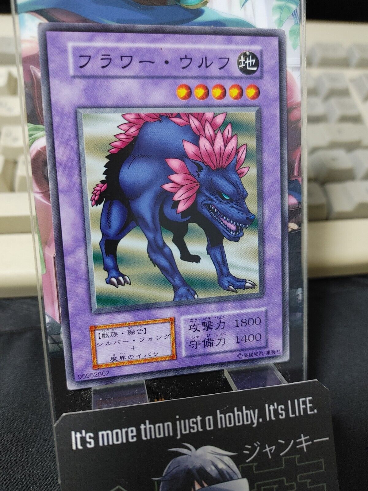 Flower Wolf Yugioh OCG Yu-Gi-Oh JAPAN