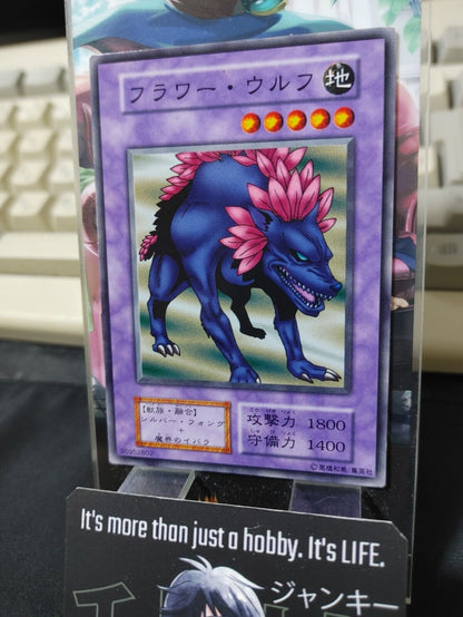 Flower Wolf Yugioh OCG Yu-Gi-Oh JAPAN