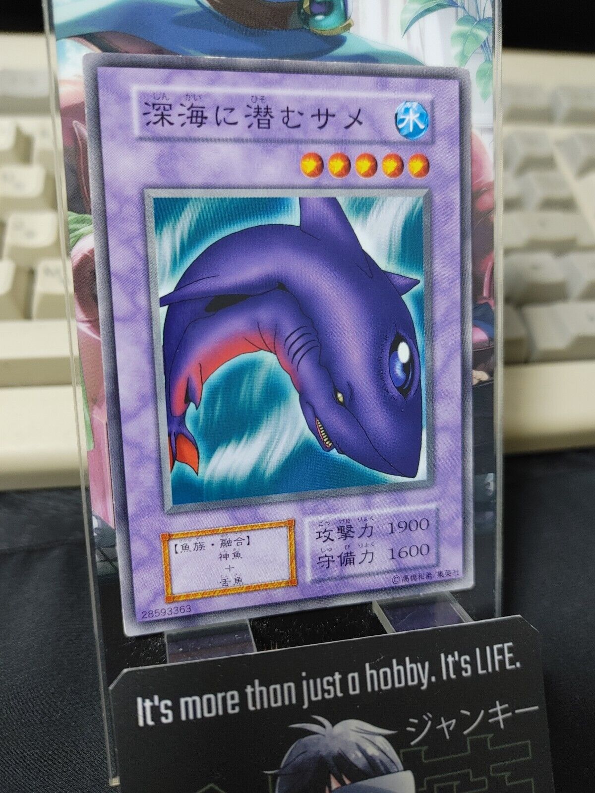 Deepsea Shark Yugioh OCG Yu-Gi-Oh JAPAN