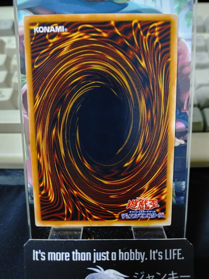 Sectarian of Secrets Yugioh OCG Yu-Gi-Oh JAPAN