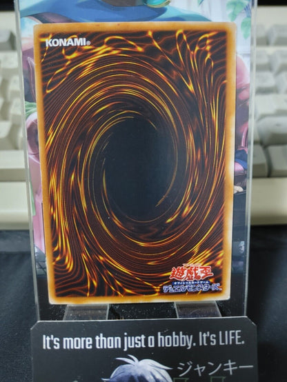 Terra the Terrible Yugioh OCG Yu-Gi-Oh JAPAN