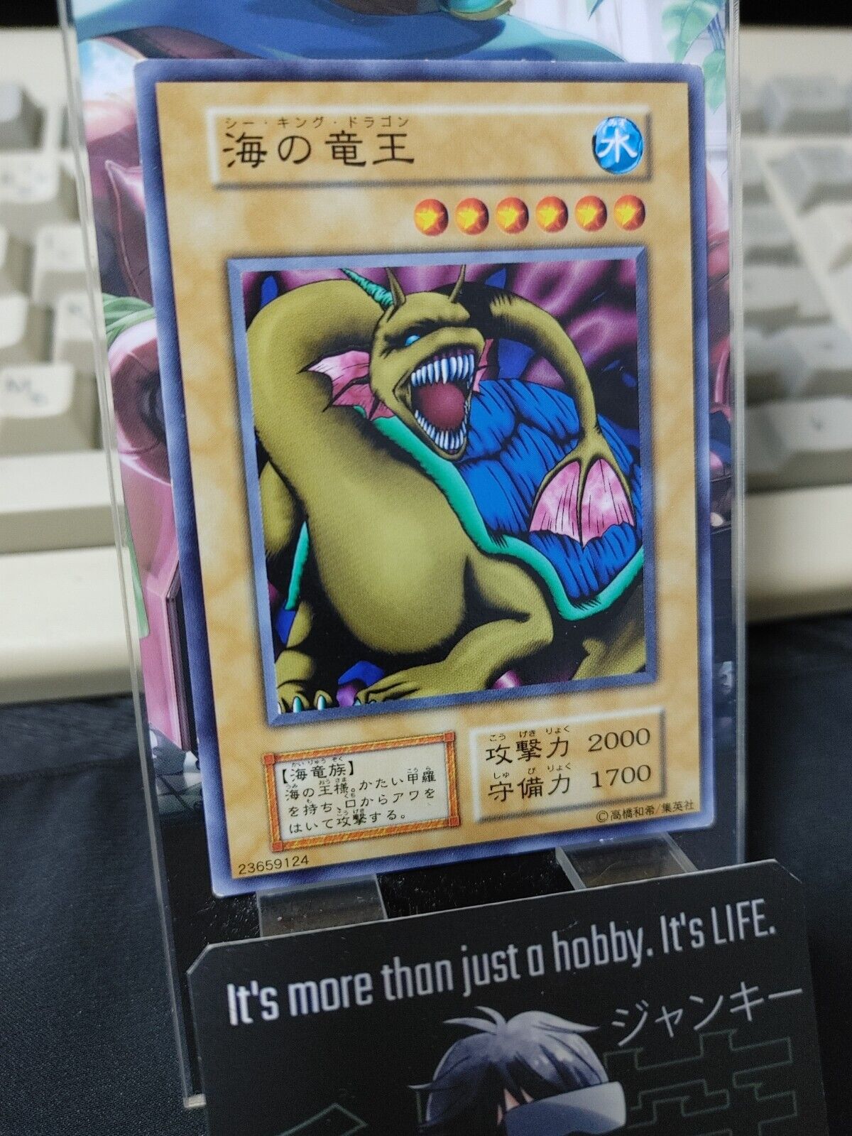 Sea King Dragon Yugioh OCG Yu-Gi-Oh JAPAN