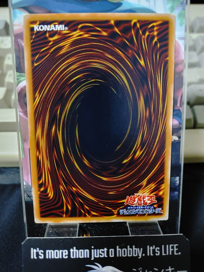 Sea King Dragon Yugioh OCG Yu-Gi-Oh JAPAN