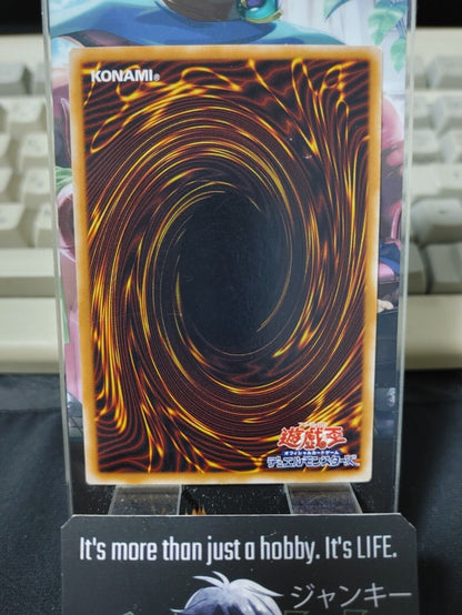 Lord of Zemia Yugioh OCG Yu-Gi-Oh JAPAN