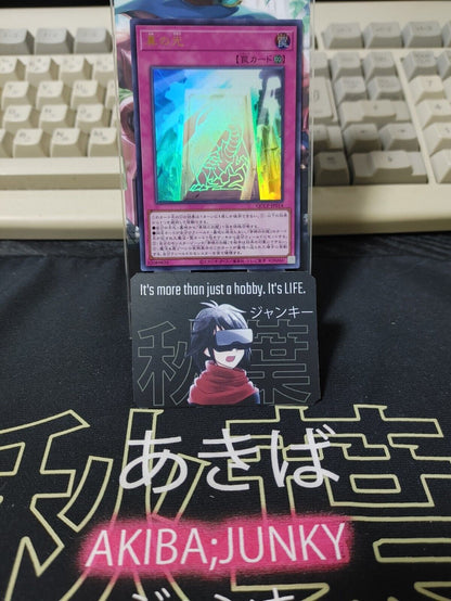 True Light QCCP-JP014 Ultra Rare Yugioh OCG JAPAN