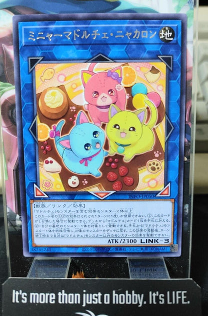 Madolche Mewgnard Meowcaron INFO-JP050 Rare Yugioh OCG JAPAN