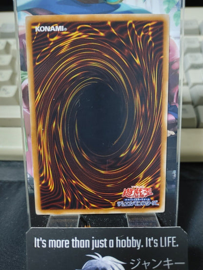 Blustering Winds DP12-JP017 Rare Yugioh OCG JAPAN