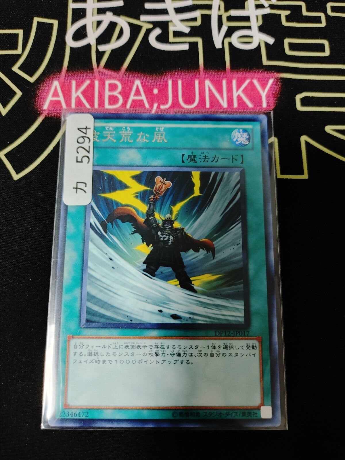 Blustering Winds DP12-JP017 Rare Yugioh OCG JAPAN