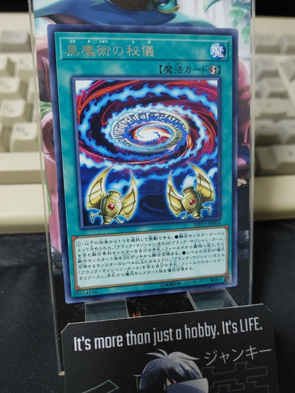 Dark Magic Secrets DP23-JP004 Rare Yugioh OCG JAPAN