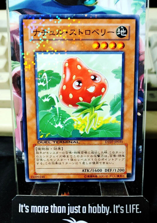 Naturia Strawberry  DT07-JP031 Holo Yugioh OCG JAPAN