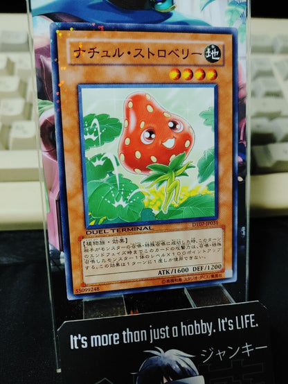 Naturia Strawberry  DT07-JP031 Holo Yugioh OCG JAPAN