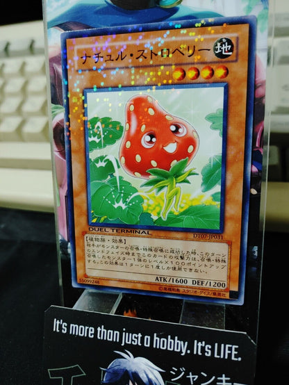 Naturia Strawberry  DT07-JP031 Holo Yugioh OCG JAPAN