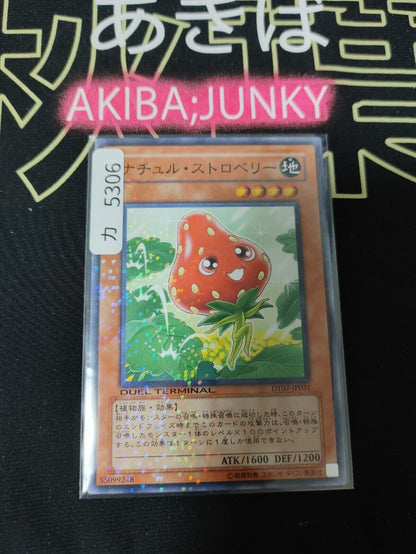 Naturia Strawberry  DT07-JP031 Holo Yugioh OCG JAPAN