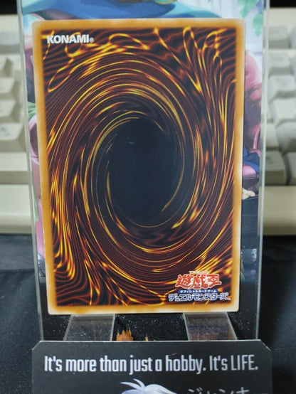 Stronghold Guardian DREV-JP006 Yugioh OCG JAPAN