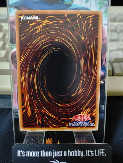 King of the Swamp SPFE-JP040 Yugioh OCG Yu-Gi-Oh JAPAN