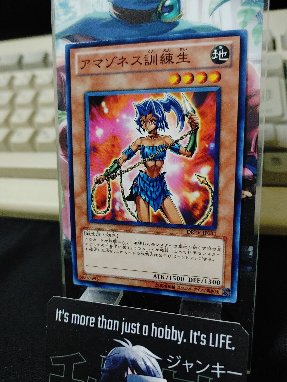 Yu-Gi-Oh DREV-JP031 Amazoness Trainee Yugioh OCG JAPAN