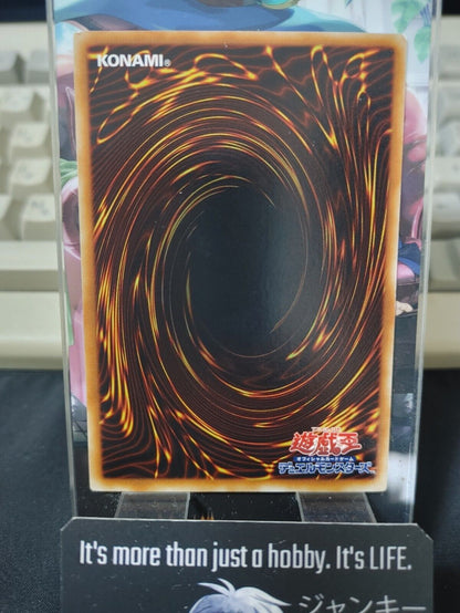 Yu-Gi-Oh DREV-JP031 Amazoness Trainee Yugioh OCG JAPAN