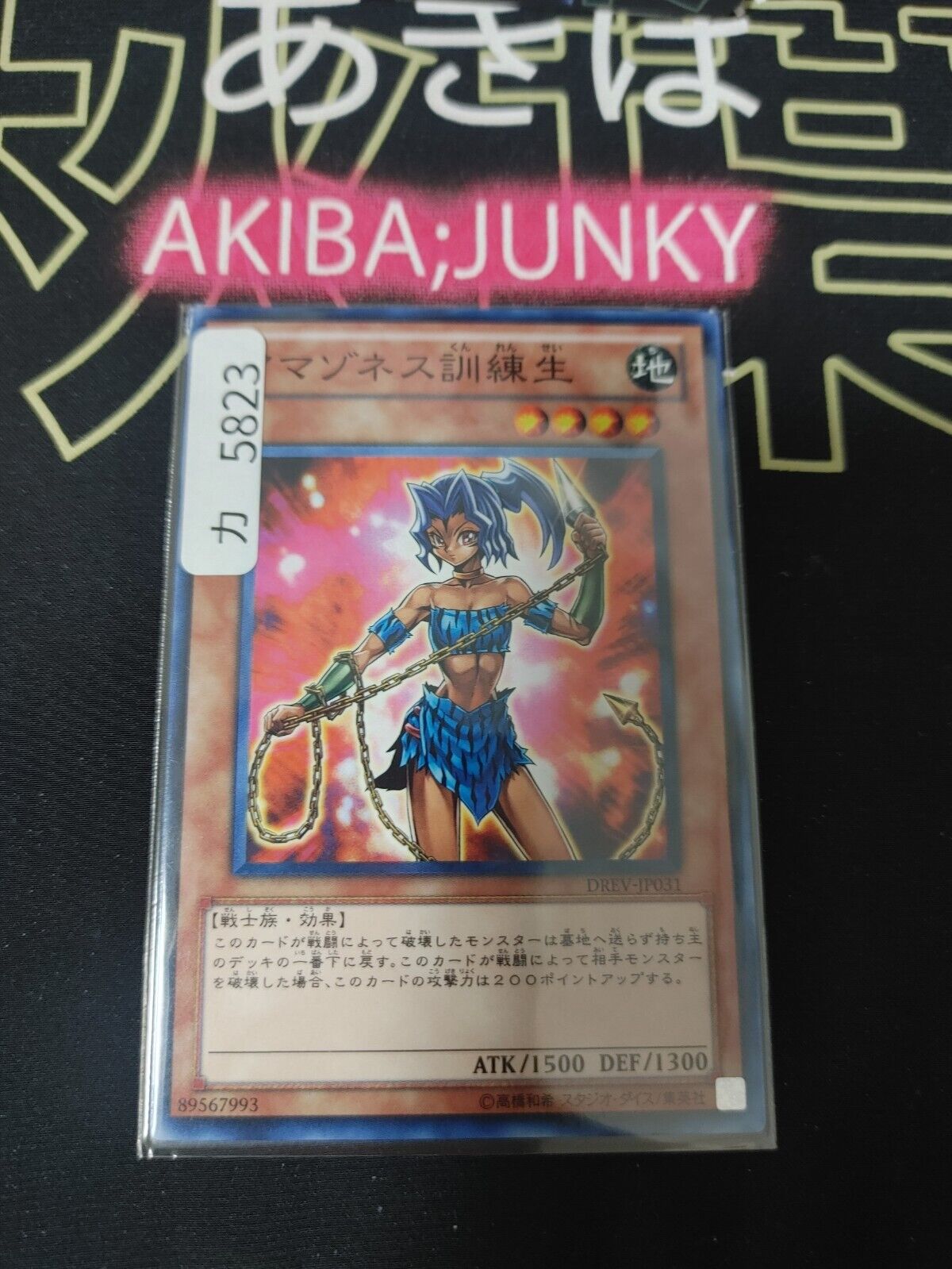 Yu-Gi-Oh DREV-JP031 Amazoness Trainee Yugioh OCG JAPAN