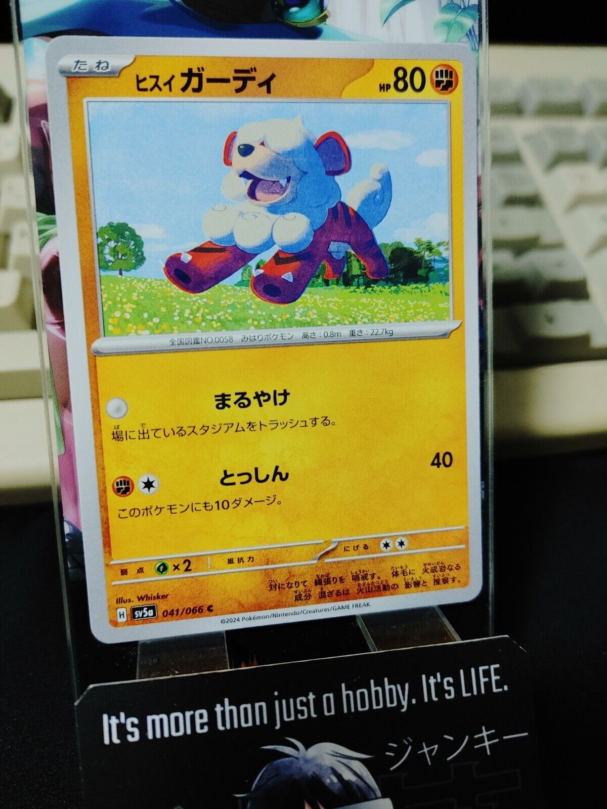 Pokemon Hisuian Growlithe SV5a 041/066 Card Japanese JAPAN Release